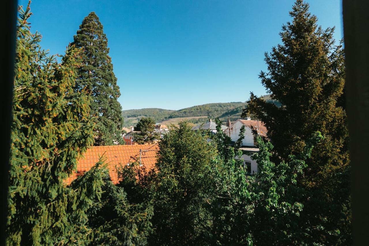 Domaine Boheme I Art De Vivre Appartement Guebwiller Buitenkant foto